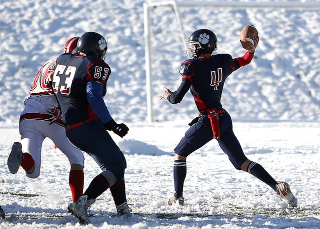 同样弥补了 同样弥补了