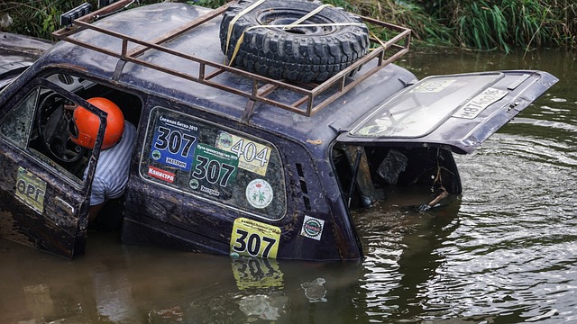 这可能与多 这可能与多