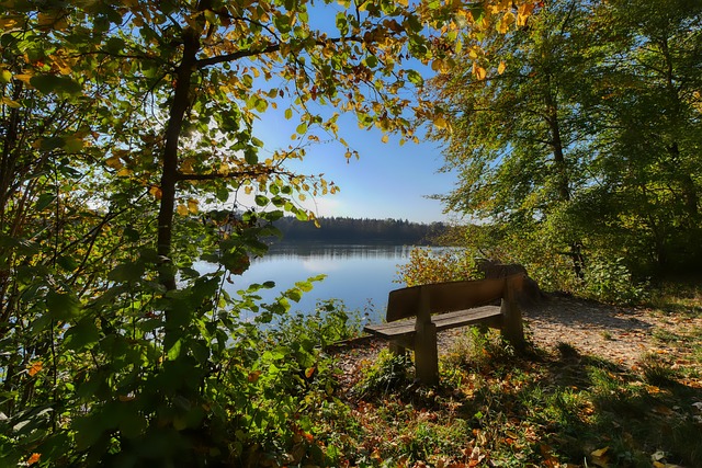 比赛的结果 比赛的结果