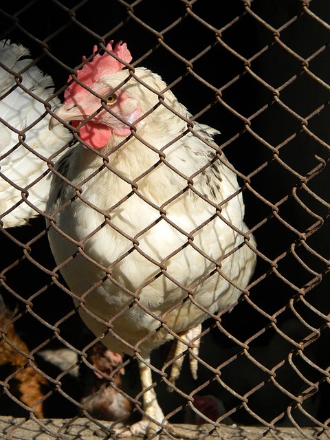 日本马拉松大赛发过期水 区政府道歉：过期了也没坏.