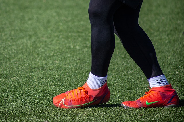 贵的奖杯 贵的奖杯