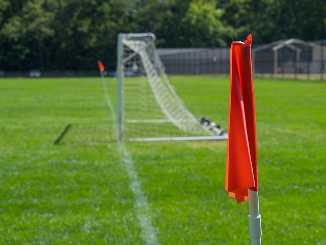 給未來的對 給未來的對